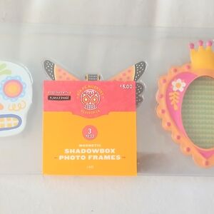 Target Day of the Dead Magnetic Shadowbox Frames - Multicolor